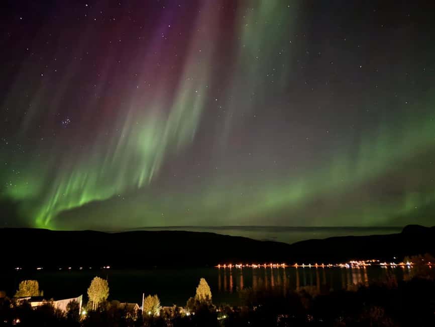Tromsø: Northern Lights Tour with Photos & Snacks - Tarik and the guide style: patience, communication, and safe driving