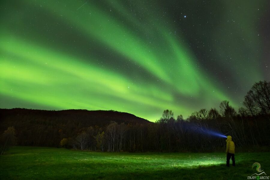 Tromsø: Northern Lights Trip with Campfire and Snacks - Quick hits for a strong aurora night