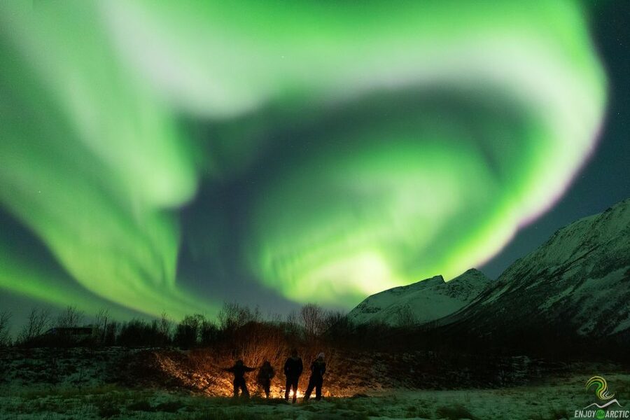 Tromsø: Northern Lights Trip with Campfire and Snacks - From Magic Ice Bar to Dark Skies