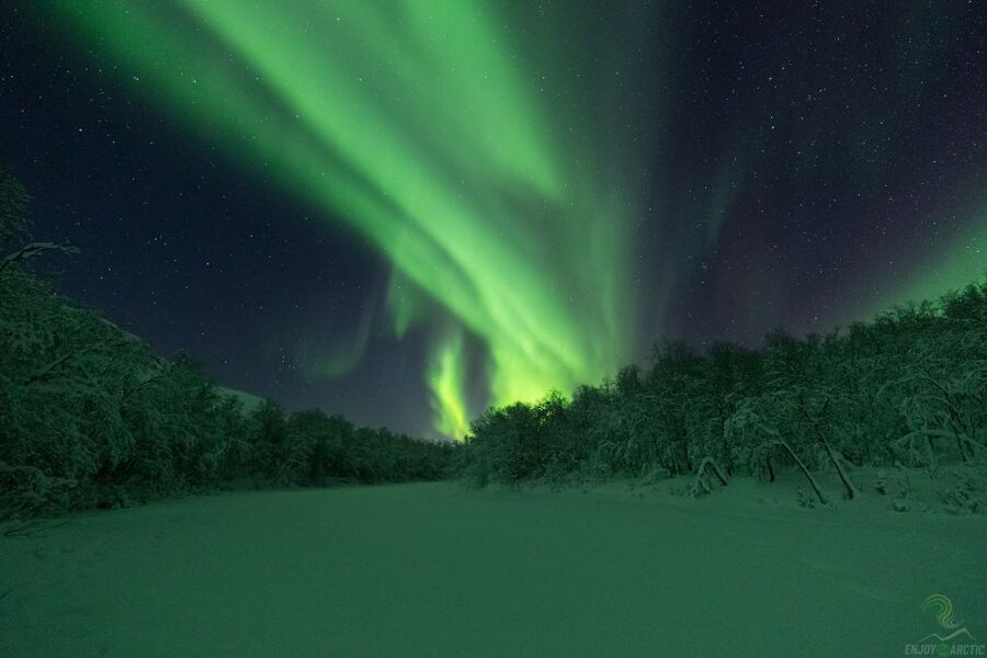 Tromsø: Northern Lights Trip with Campfire and Snacks - Price and value: why $150 feels fair here