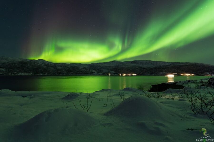 Tromsø: Northern Lights Trip with Campfire and Snacks - Who should book this tour, and who should skip it