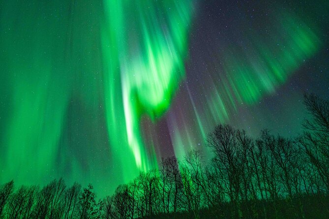 Tromsø Northern Lights with Campfire and Professional Photos - Pro photos in real winter conditions: what you can expect