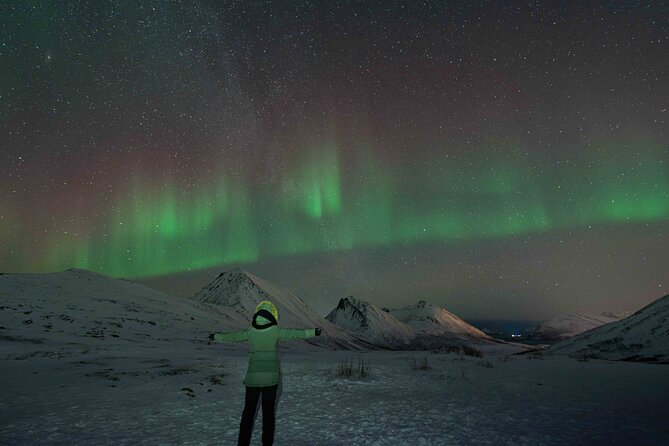 Tromsø Northern Lights with Campfire and Professional Photos - Price and value: is $310.85 a fair deal?