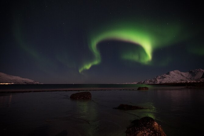 Tromsø Norway - Small Group Aurora Hunt Tour with a local guide - What the cold feels like, and the dressing advice that actually matters