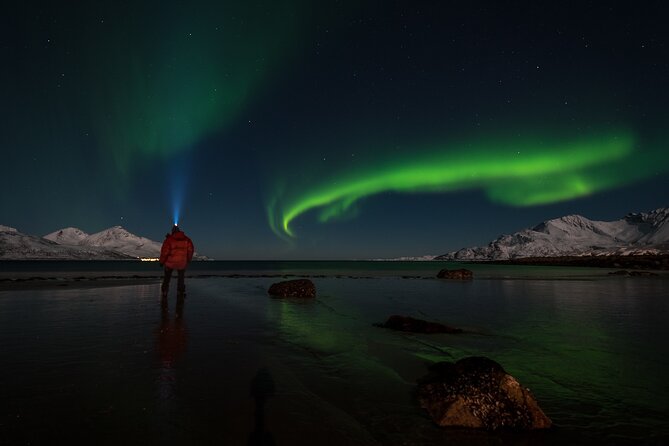 Tromsø Norway - Small Group Aurora Hunt Tour with a local guide - The 6-hour flexible plan, and why you should love Plan B and Plan C