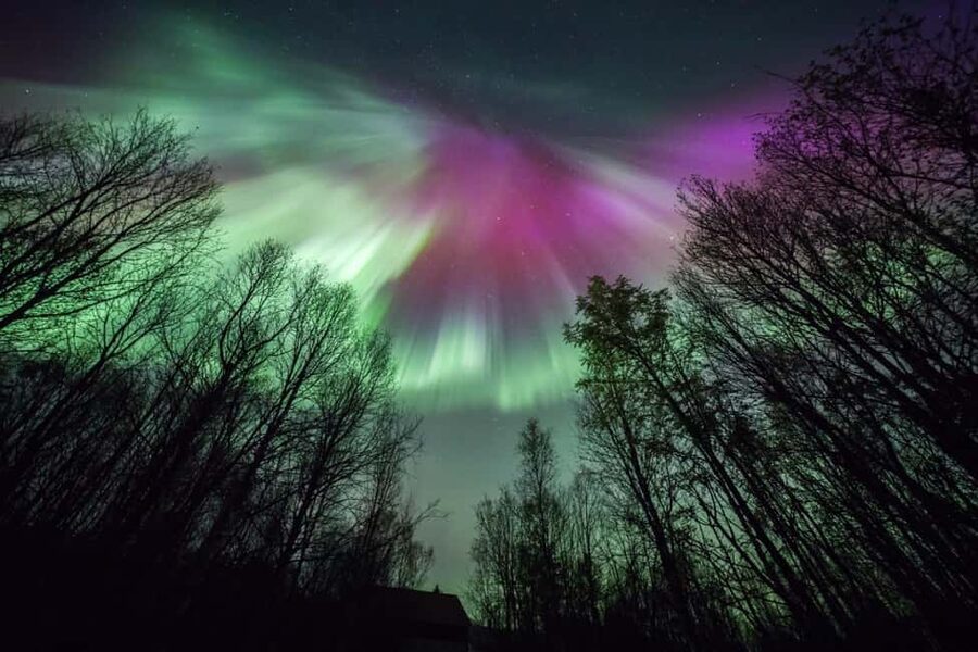 Tromsø: Premium Northern Lights Chase with Free Photos - Group size, guide style, and what you get in return