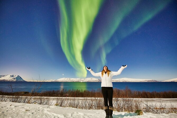 Tromso: Private Aurora Chase by Minivan - Key things to know before you book