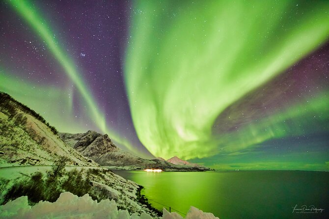 Tromso: Private Aurora Chase by Minivan - Price and value: $1,600.94 per group, and when it makes sense