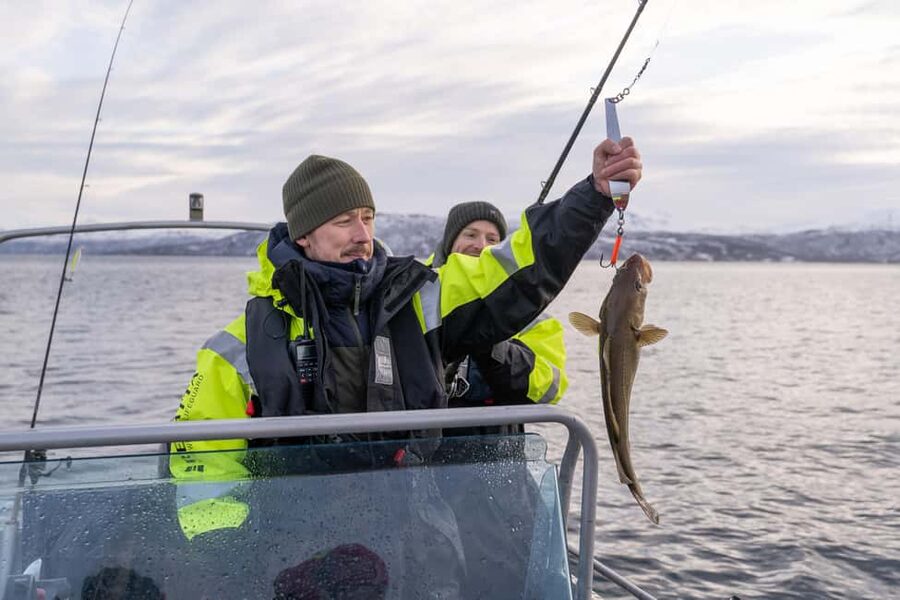 Tromsø: Private Fishing Tour - The ride out: 20 to 40 minutes of Arctic scenery and wildlife time
