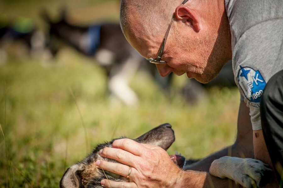 Tromsø: Puppy Training at the Husky Kennel with Lunch - Key things to know before you go