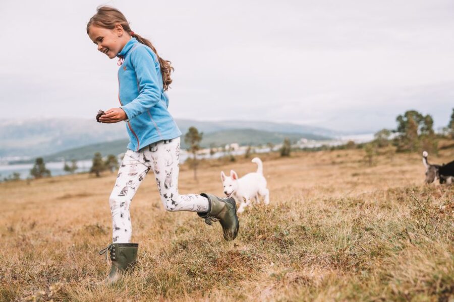 Tromsø: Puppy Training at the Husky Kennel with Lunch - Price and Value: Is It Worth $172 per Person?
