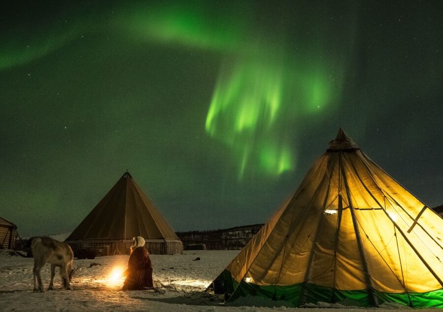 Tromsø: Reindeer Camp Dinner with Chance of Northern Lights - Feeding Around 300 Reindeer After Dark: Fun, Gentle, and Watchful