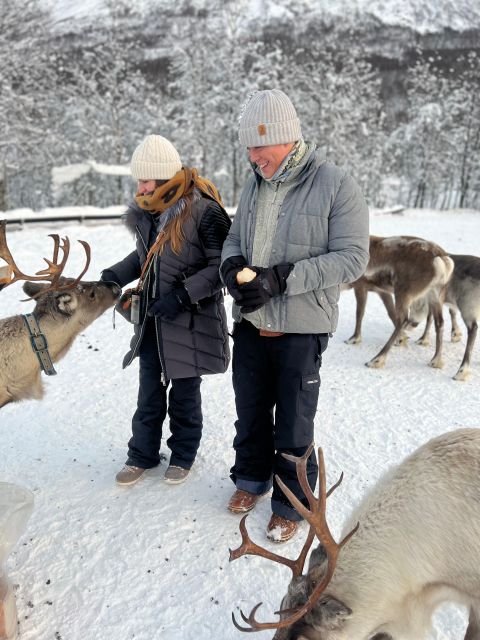 Tromsø: Reindeer Experience at a Sami Camp - Why This Lavangsdalen Reindeer Experience Feels More Real Than a Typical Tour