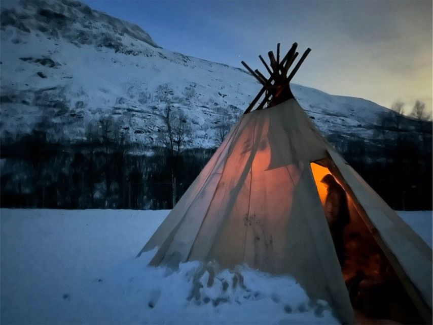 Tromsø: Reindeer Experience at a Sami Camp - Getting There From Tromsø: The Bus Ride and the Right Mindset