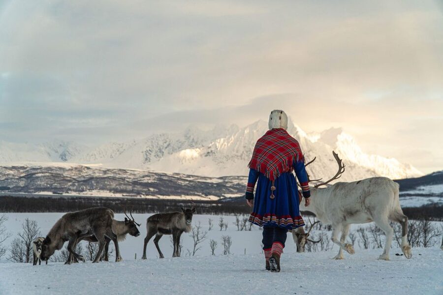 Tromsø: Reindeer Feeding and Sami Cultural Experience - Feeding Reindeer by Hand: How the Camp Time Works