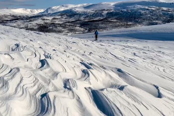 Tromso: Reindeer Feeding and Snowshoeing Tour with Lunch - Key highlights worth knowing before you go
