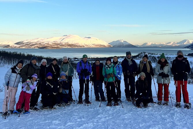 Tromso: Reindeer Feeding and Snowshoeing Tour with Lunch - A half-day in Tromsø that actually feels like winter