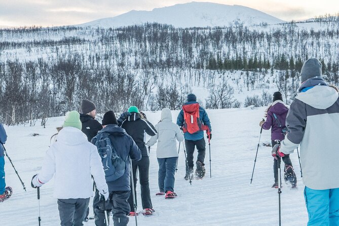 Tromso: Reindeer Feeding and Snowshoeing Tour with Lunch - From Tromsø bus terminal to the winter camp