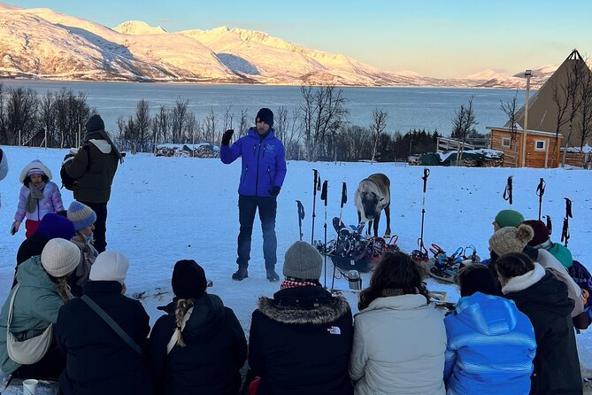 Tromso: Reindeer Feeding and Snowshoeing Tour with Lunch - Timing in Tromsø: morning vs afternoon pickup and return