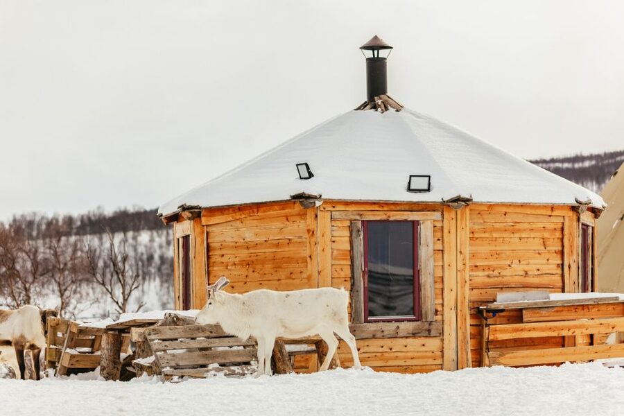 Tromsø: Reindeer Sledding & Feeding with a Sami Guide - Price and Value: Is $198 Worth It?