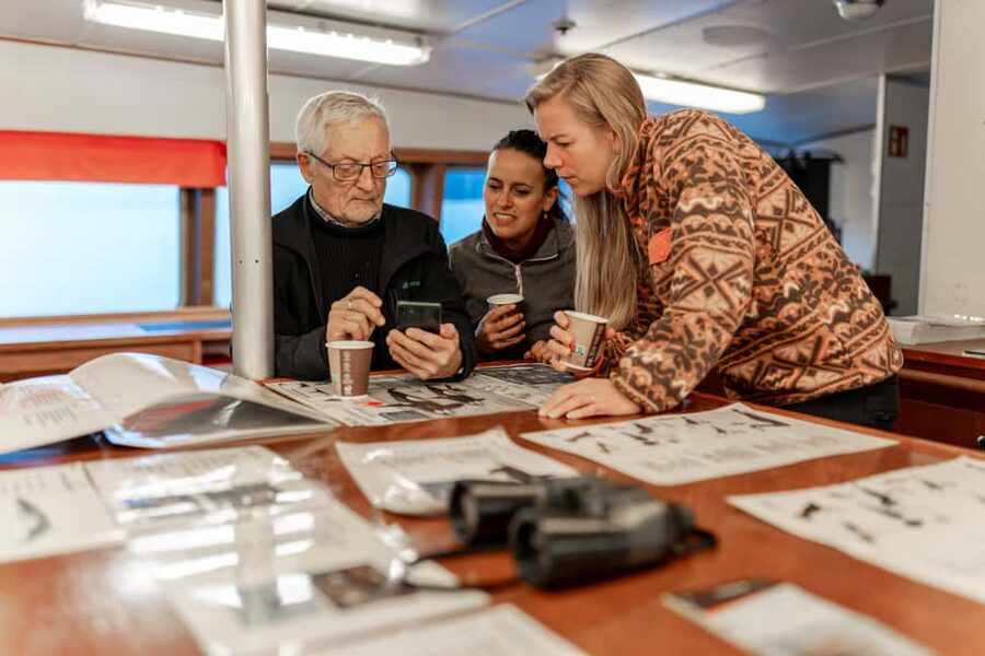 Tromsø: Responsible Whale Watching Cruise Aboard MS Alba - Skjervøy photo stop and guided sightseeing: why it is more than a break