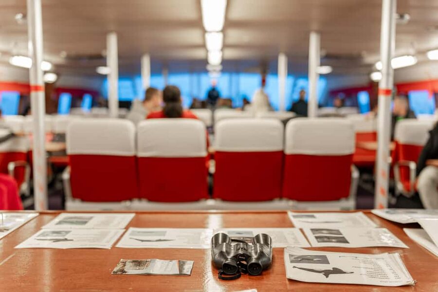 Tromsø: Responsible Whale Watching Cruise Aboard MS Alba - Staying warm and fed: your comfort plan for an 8-hour day