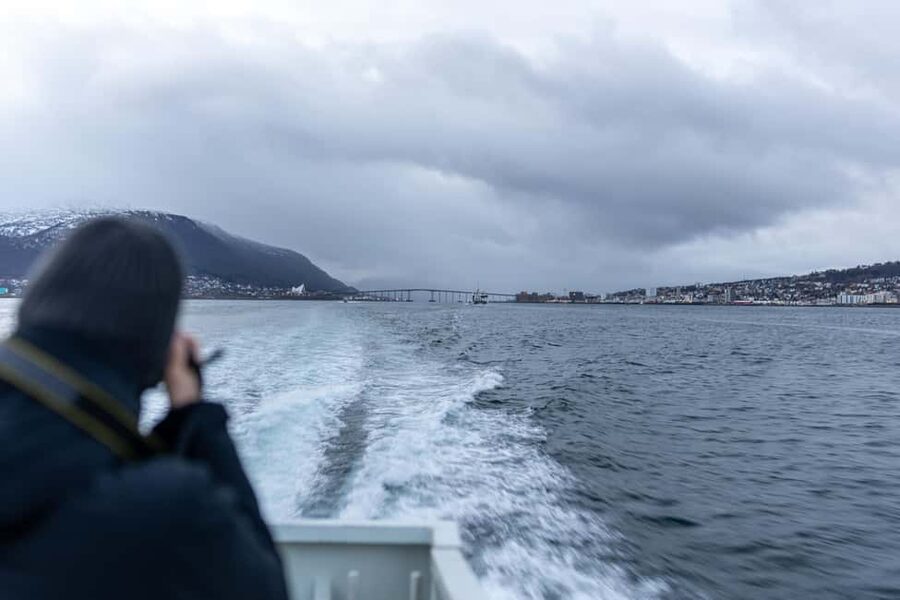 Tromsø: Responsible Whale Watching Cruise Aboard MS Alba - Whale Pass rebooking: what happens if the fjord stays quiet