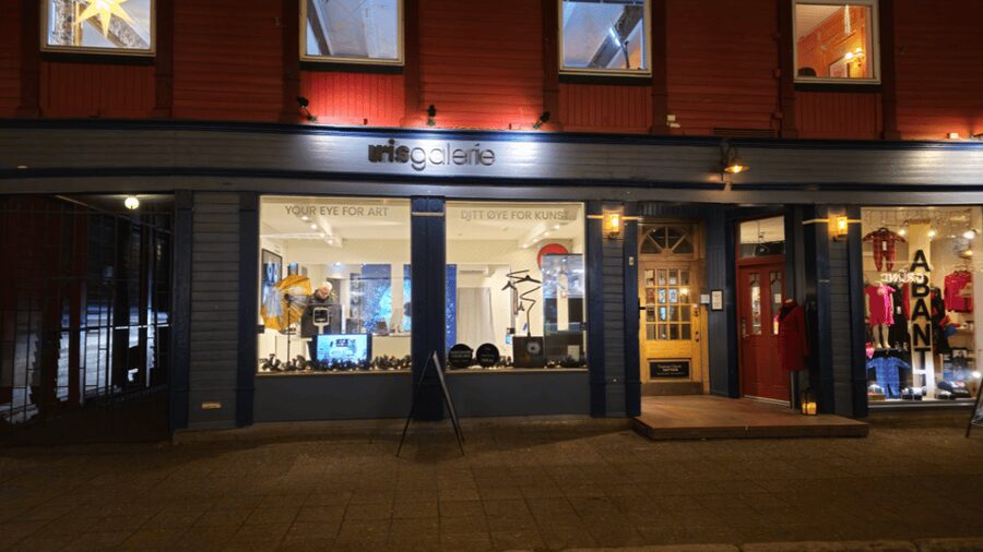 Tromsø: Reveal Your Eye Experience at the Iris Galerie - Choosing your favorite image: don’t skip this step