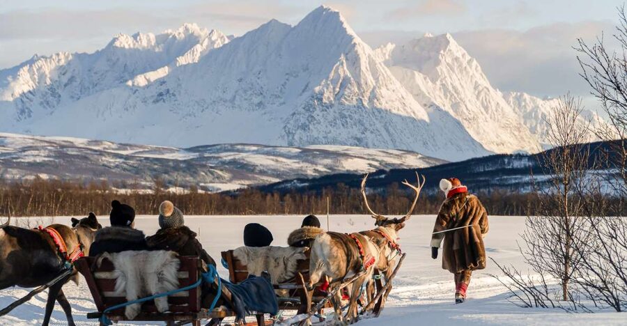 Tromsø: Sámi Reindeer Sledding and Sami Cultural Tour - Key highlights to notice before you go