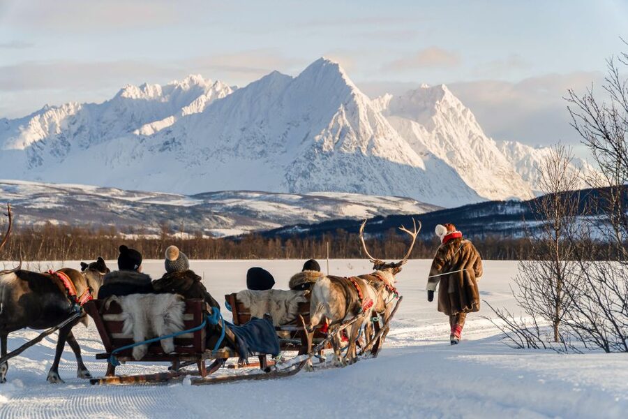 Tromsø: Sámi Reindeer Sledding and Sami Cultural Tour - Feeding the reindeer herd: the rules you should actually follow