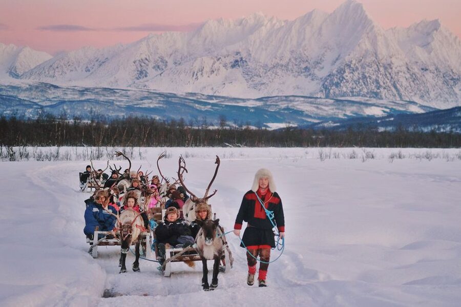 Tromsø: Sámi Reindeer Sledding and Sami Cultural Tour - Bidos/Bithos lunch at a Sámi camp, plus warm drinks that reset you