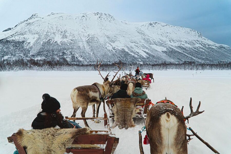 Tromsø: Sámi Reindeer Sledding and Sami Cultural Tour - The Sámi culture session: clothing, life, history, and Q&A