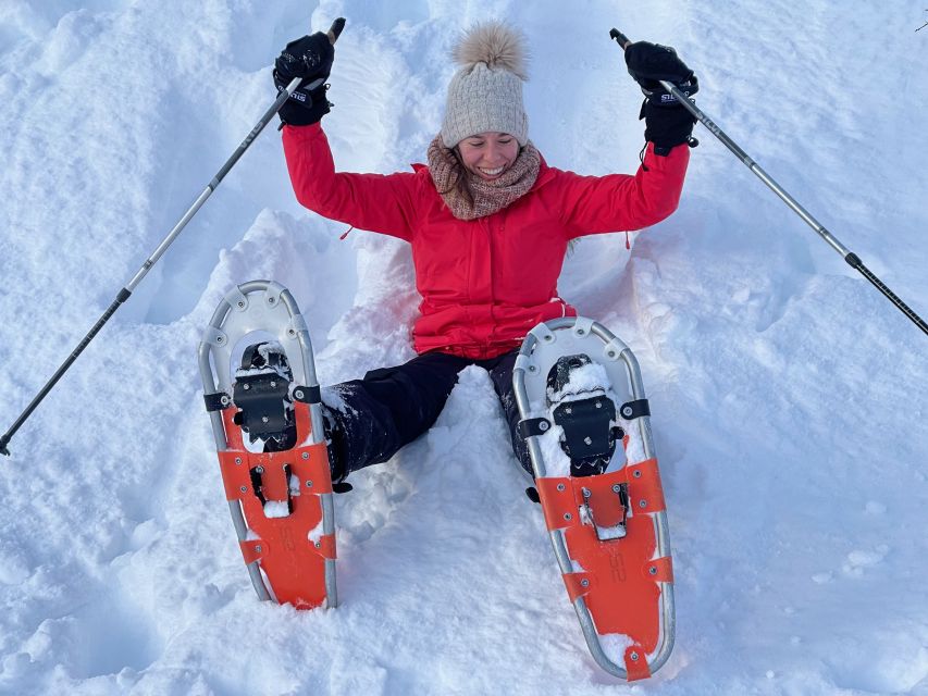 Tromso: Scenic & Eco-Friendly Snowshoeing Tour - Arctic Tromsø Snowshoeing: Quiet Kvaløya, Up Close