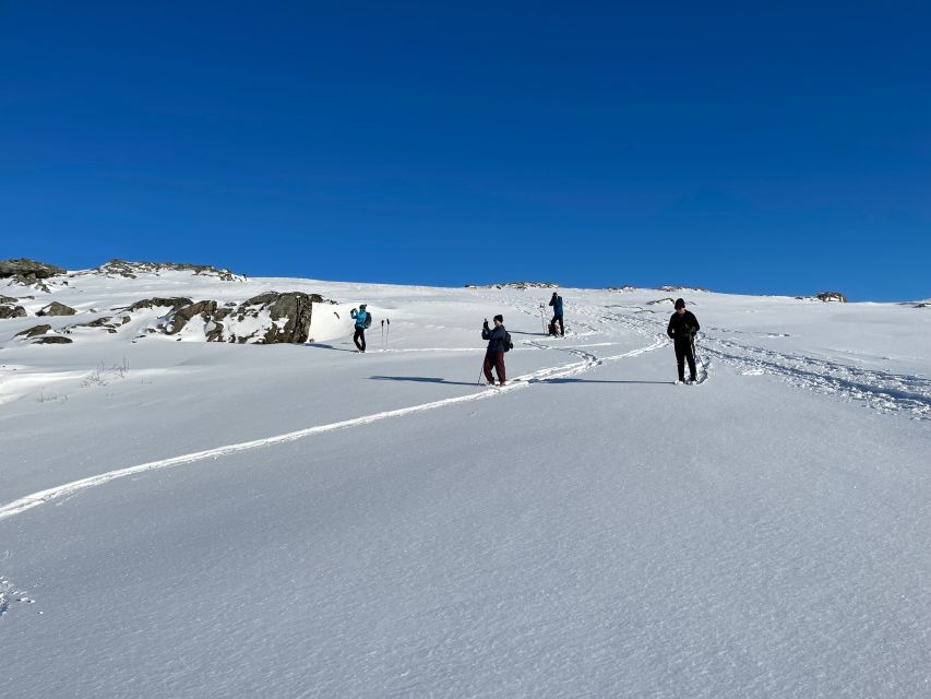 Tromso: Scenic & Eco-Friendly Snowshoeing Tour - Fjords, Photos, Coffee, and Wildlife Chances