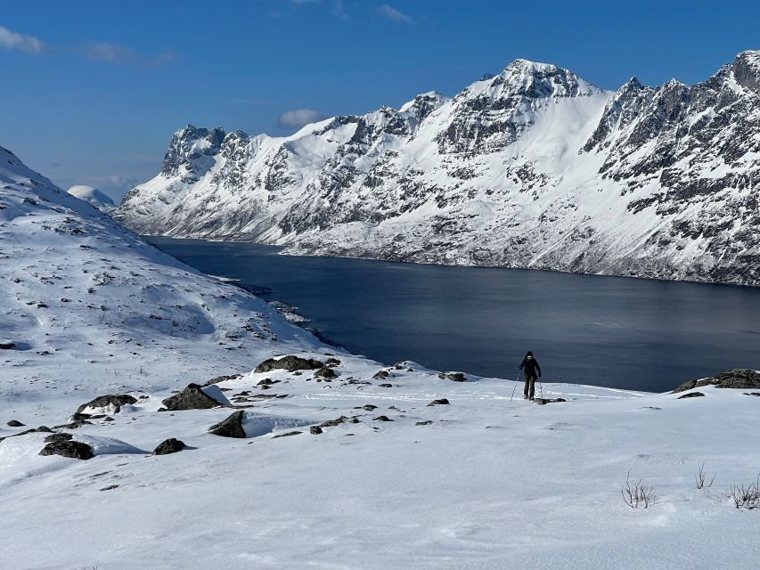Tromso: Scenic & Eco-Friendly Snowshoeing Tour - The WWII Story at Håkøya (and Why It Matters)