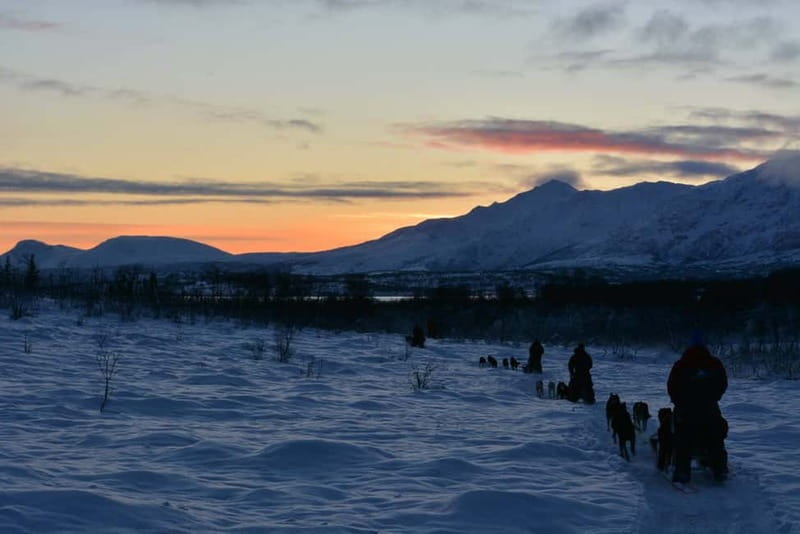 Tromsø: Self-Drive Husky Dog Sledding Adventure - The short sled lesson, and what really controls the run