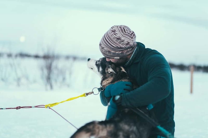 Tromsø: Self-Drive Husky Dog Sledding Adventure - After the run: warming up in the Sami lavvo