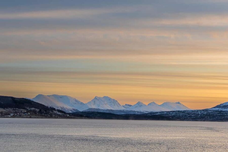 Tromsø: Senja Fjord Tour in Chinese/English Small-Group - Wildlife watching that feels realistic, not scripted