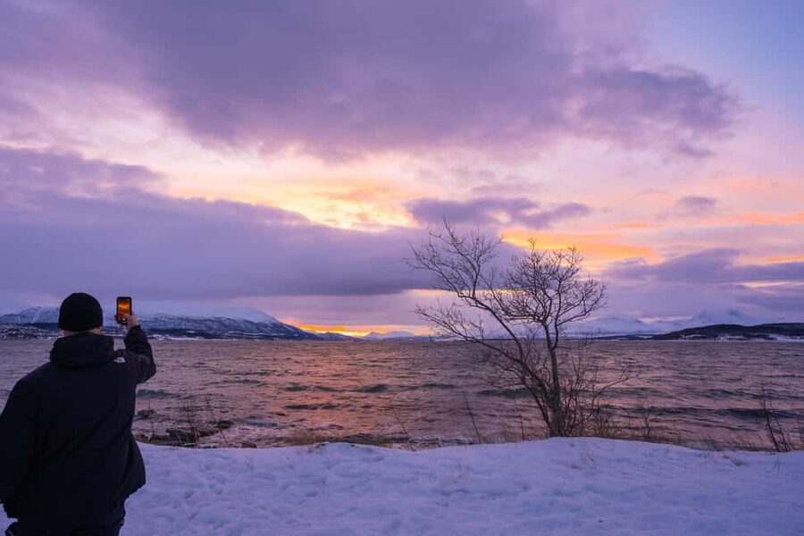 Tromsø: Senja Fjord Tour in Chinese/English Small-Group - Guides who keep the day moving safely and smoothly