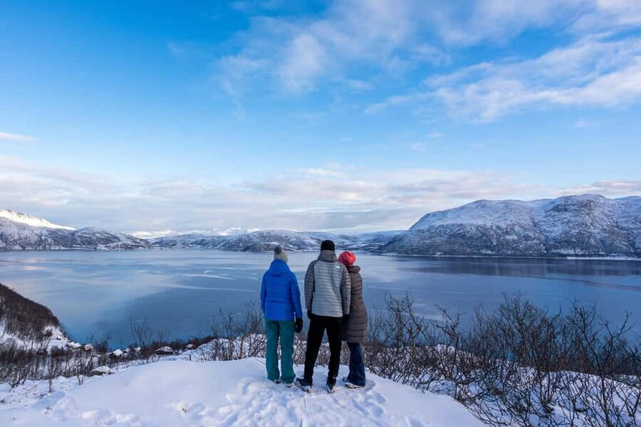 Tromsø: Senja Fjord Tour in Chinese/English Small-Group - Start at Scandic The Dock Hotel, then settle into the van