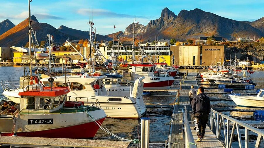 Tromsø: Senja Fjords & Coast Day Tour with FREE Photos - Devil’s Teeth at Tungeneset: where the photos actually earn their hype