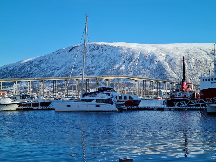 Tromso: Sightseeing Cruise by Catamaran with Snacks & Drinks - Wildlife spotting with the crew: sea eagles, seals, and birds