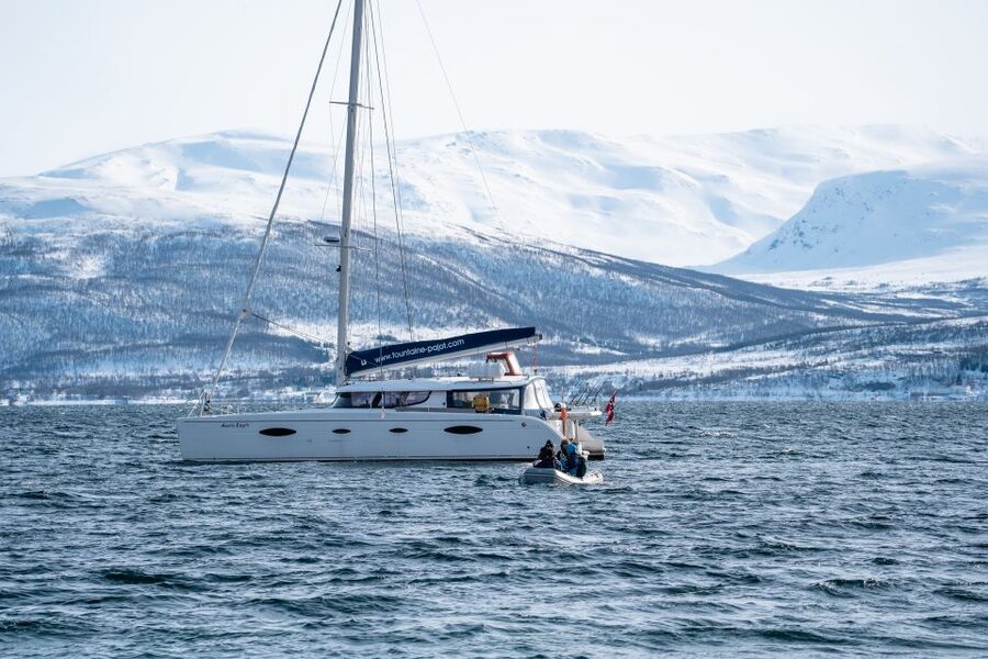 Tromso: Sightseeing Cruise by Catamaran with Snacks & Drinks - Practical tips for a smooth ride in Tromsø weather