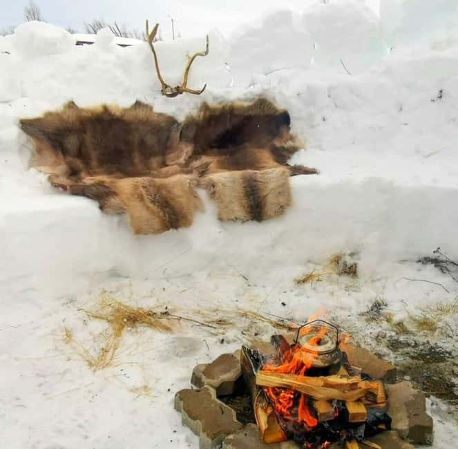 Tromsø: Sledding, Toboggan, Mini Skiing, Lasso & Arctic Fun - Key things to know before you go