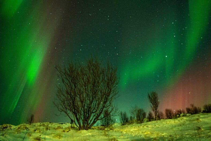 Tromsø: Small-Group Adventurous Northern Lights Hunt - The minibus experience: what comfort buys you in Tromsø