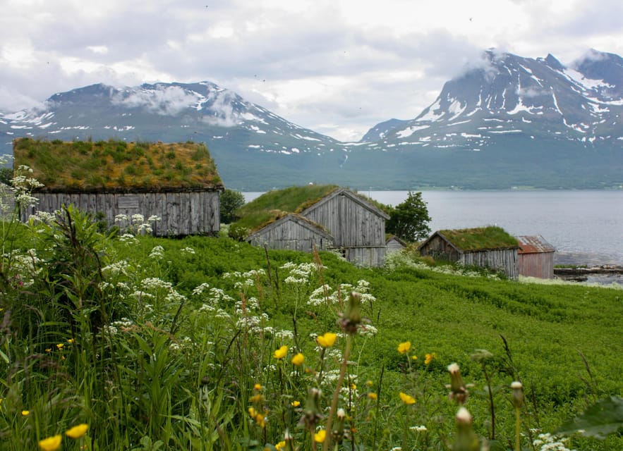 Tromsø: Small group Fjord Adventure, by Local - Why this Tromsø fjord day works better than big-bus tours