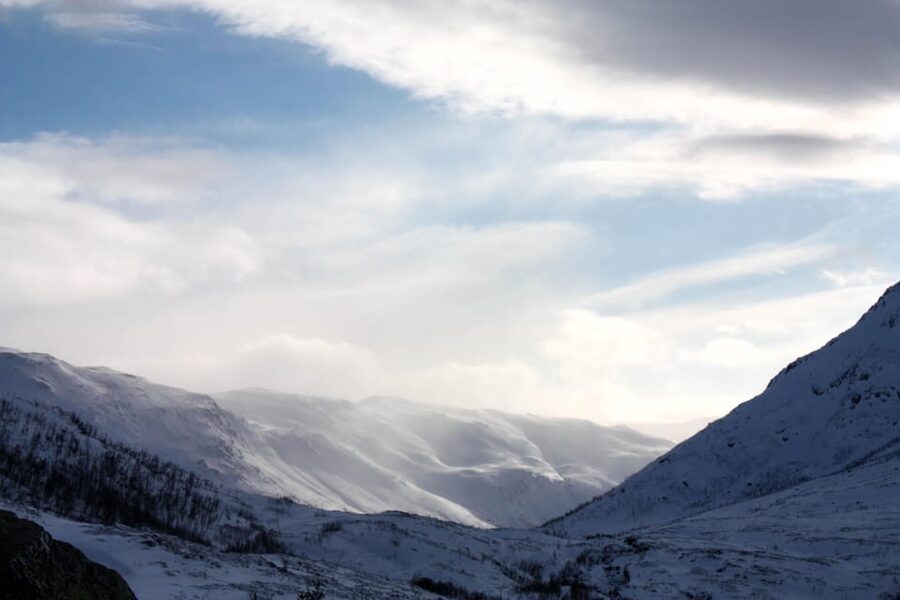 Tromsø: Small group Fjord Adventure, by Local - Price and what you actually get for $241