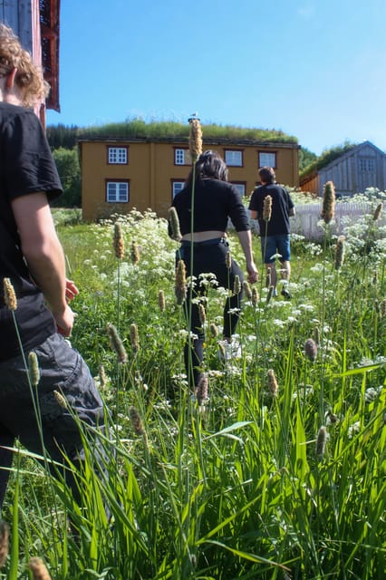 Tromsø: Small group Fjord Adventure, by Local - From Tromsø city centre to Eidkjosen: your first fjord moments