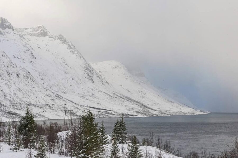 Tromsø: Small-Group Northern Lights Chase by Van with Photos - Price and Value: What $250 Buys in Real Terms
