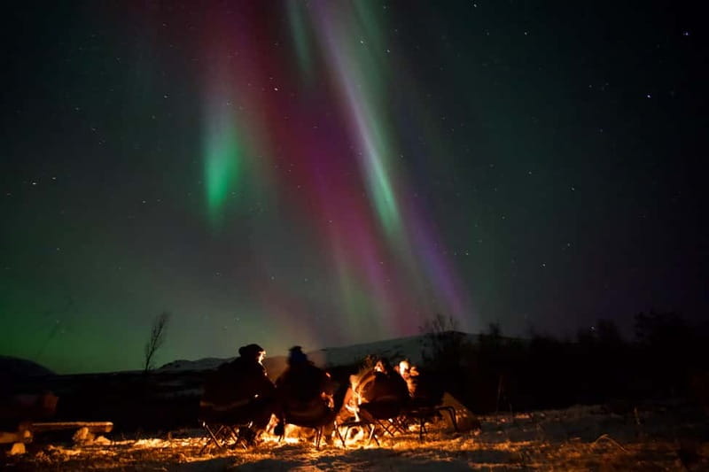 Tromsø: Small-Group Northern Lights Tour by Minibus - Chasing the Northern Lights From Tromsø, Not Just Around Town